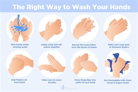 Wash Your Hands .